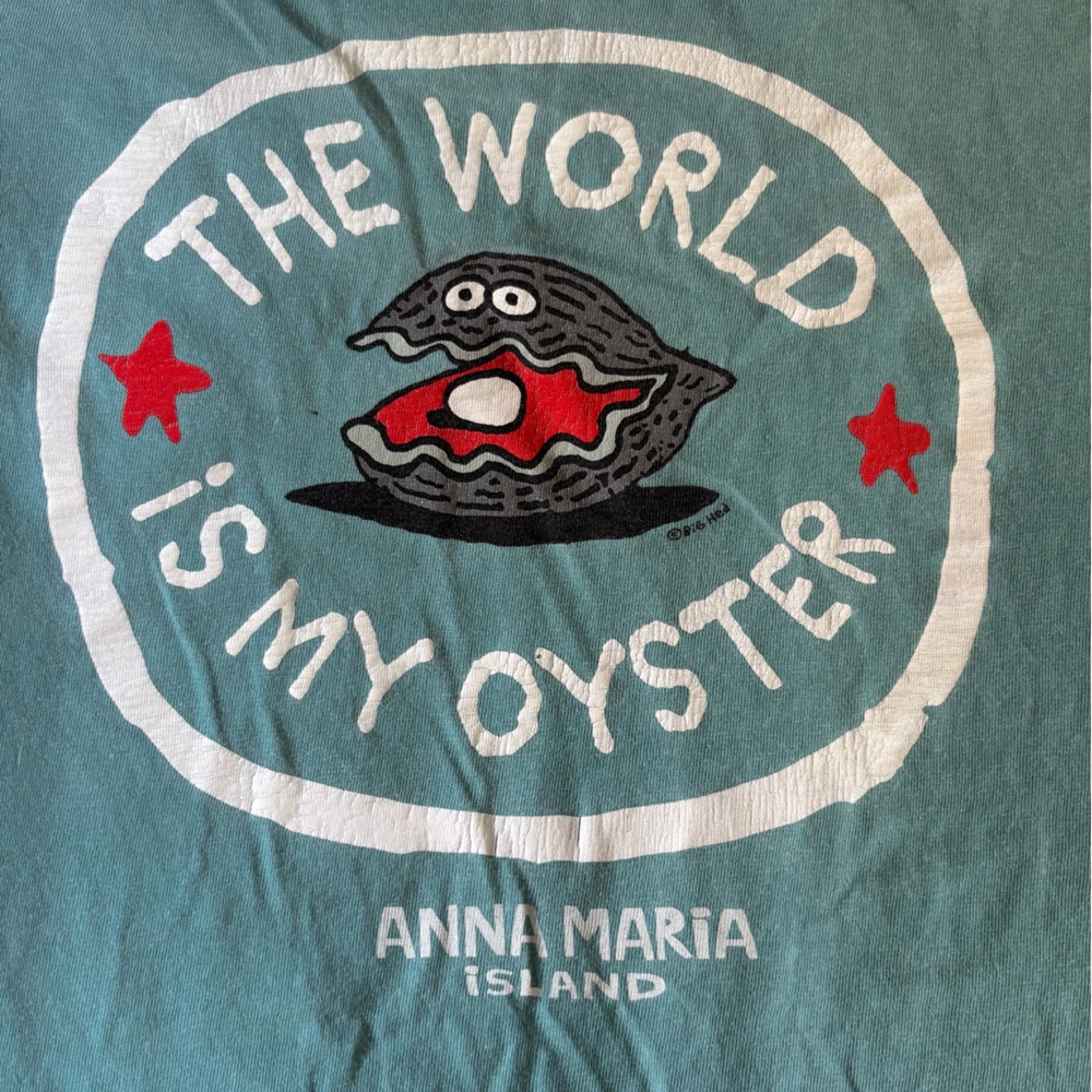 Comfort Colors Teal T-Shirt